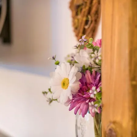 Hochfuegenblick-ski- Und Wanderhuette Lejlighed Hochfügen