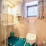 Hochfuegenblick-ski- Und Wanderhuette Appartement *